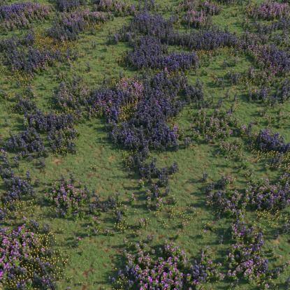 FP Preset Flowering Meadow 1