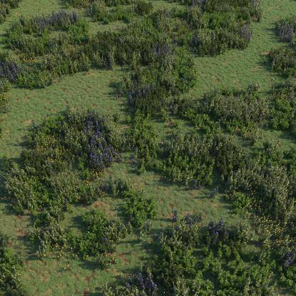 FP Preset Flowering Meadow 3