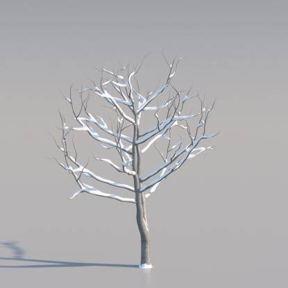 Snowy Common Walnut Young V3