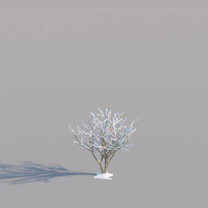 Snowy Generic Bush V8