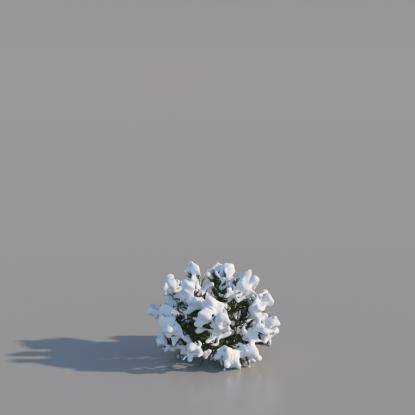 Snowy Pine Bush V4
