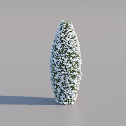Snowy Thuja Pyramid Large