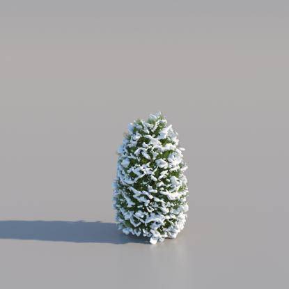 Snowy Thuja Pyramid Medium