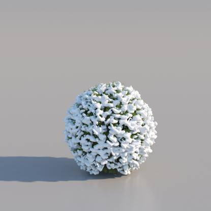 Snowy Thuja Spherical Large