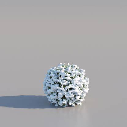 Snowy Thuja Spherical Medium