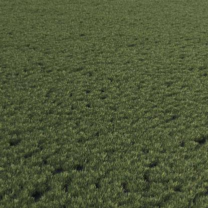 Lawn grass green base