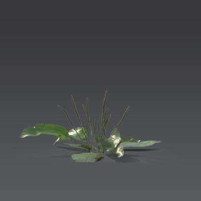 Small plant 1 - 2