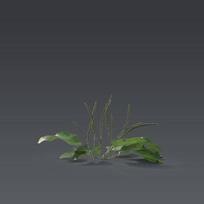 Small plant 1 - 3