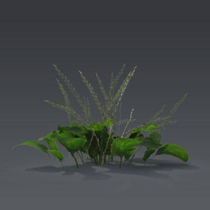 Small plant 2 - 1