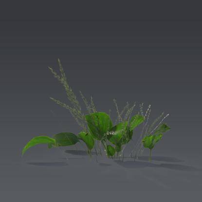 Small plant 2 - 3