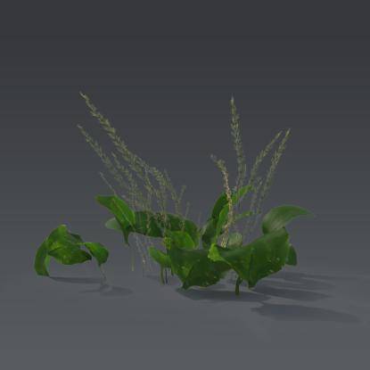Small plant 2 - 4