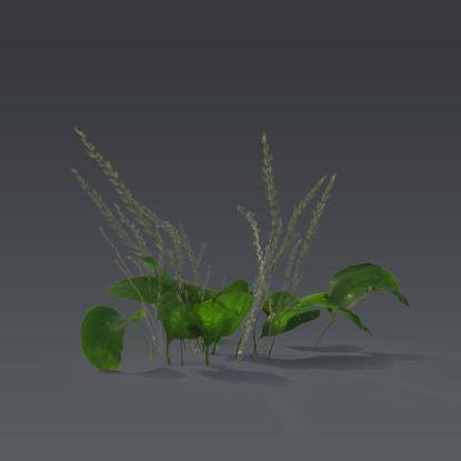 Small plant 2 - 5