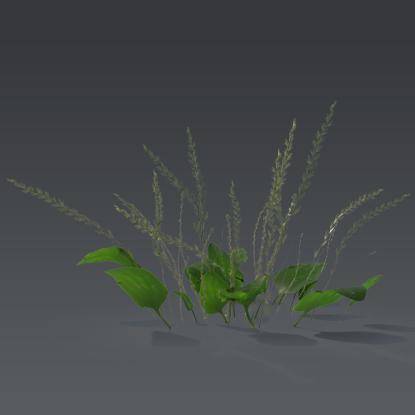 Small plant 2 - 6