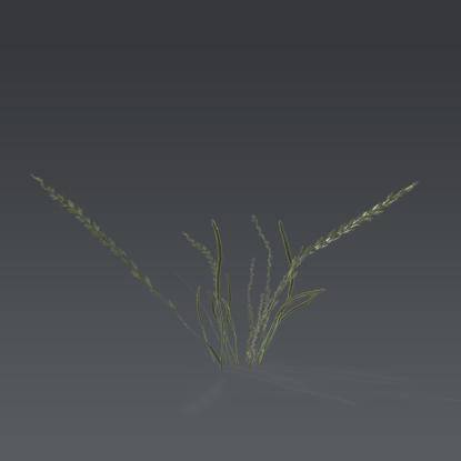 Small plant 3 - 1