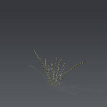 Small plant 3 - 2
