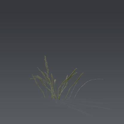 Small plant 3 - 3