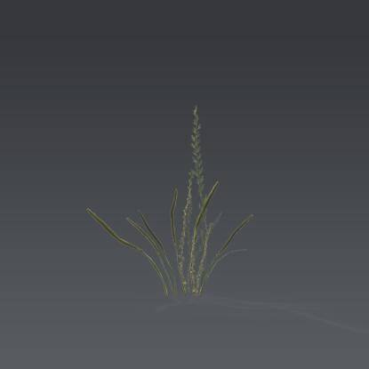 Small plant 3 - 4