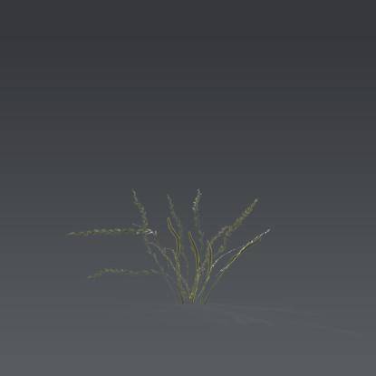 Small plant 3 - 5