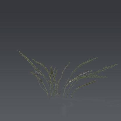 Small plant 3 - 6