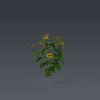 Small plant 5 - 1