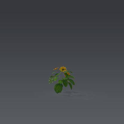 Small plant 5 - 2