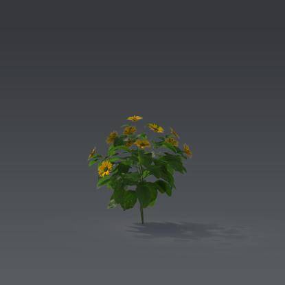Small plant 5 - 3