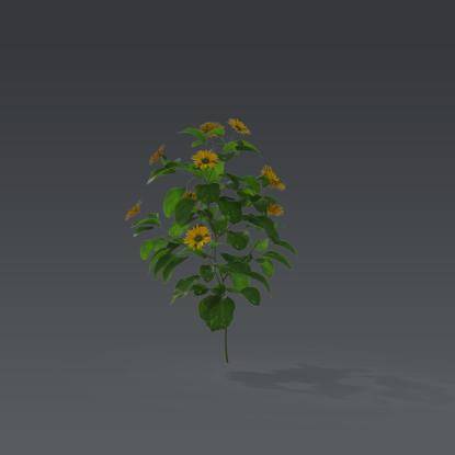 Small plant 5 - 4