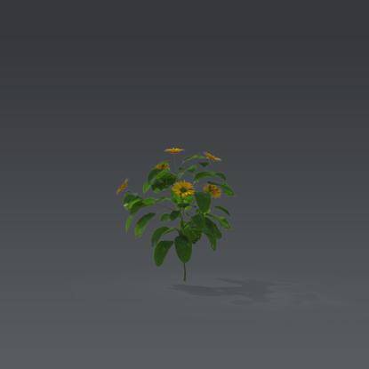 Small plant 5 - 5