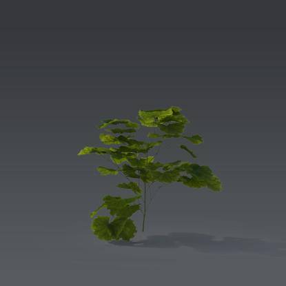Small plant 6 - 1