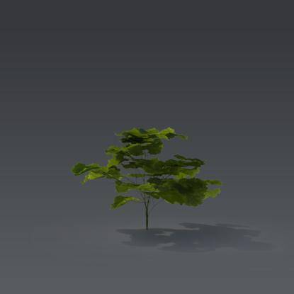 Small plant 6 - 2