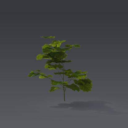 Small plant 6 - 3