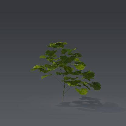 Small plant 6 - 4
