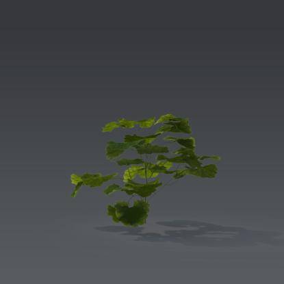 Small plant 6 - 5