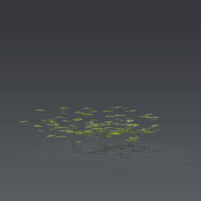 Small plant 7 - 1