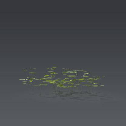 Small plant 7 - 2