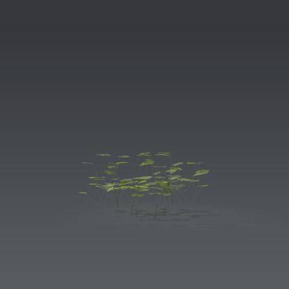 Small plant 7 - 3