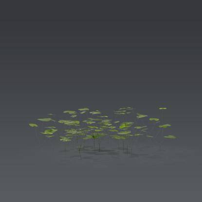 Small plant 7 - 4