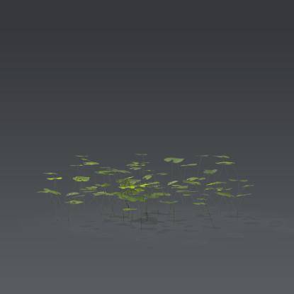 Small plant 7 - 5