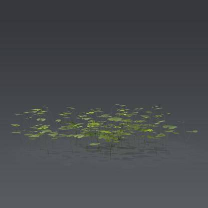 Small plant 7 - 6