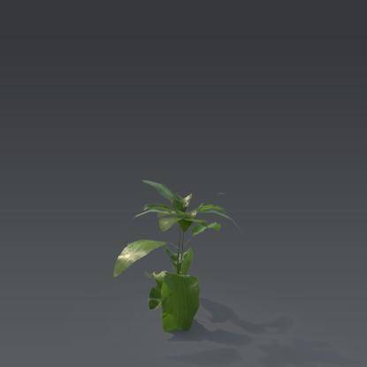Small plant 8 - 3