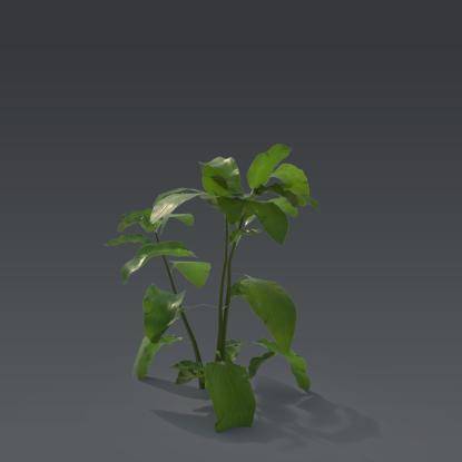 Small plant 8 - 5