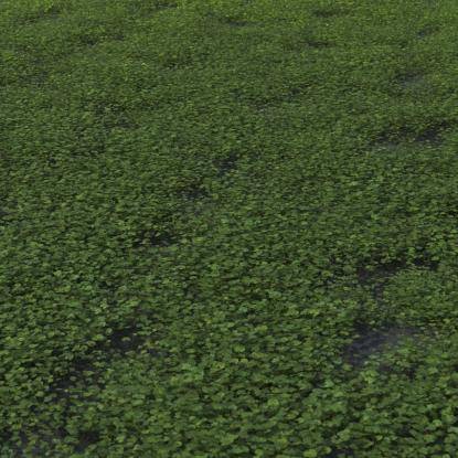 Small plants 5 mix preset