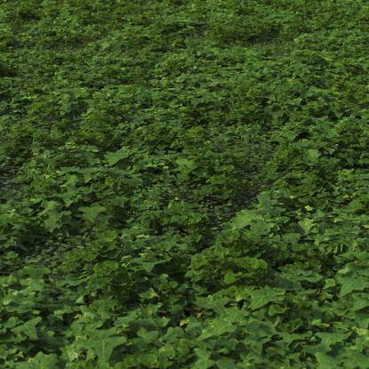 Small plants mix cover preset 2