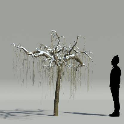 Mulberry winter V3