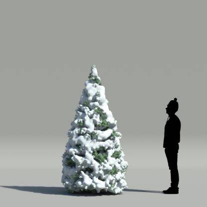 Rocky Mountain fir winter V1