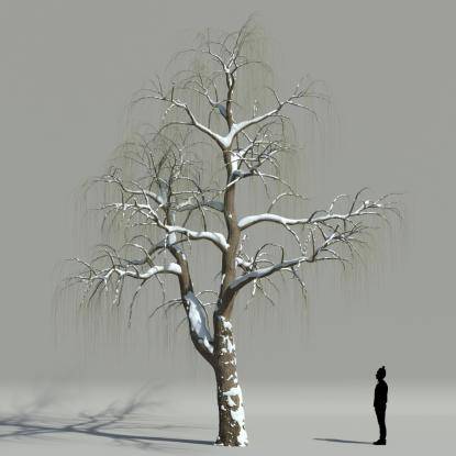 Willow winter V2