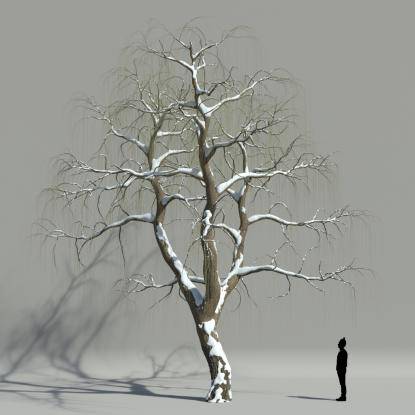 Willow winter V3