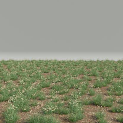 FP Preset Bouteloua gracilis