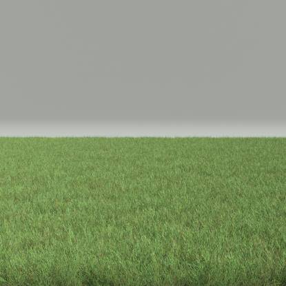 FP Preset Common Grass Field