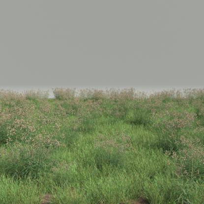 FP Preset Common Grass Field Mixed1